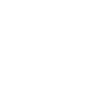 Logo partnera: PALLADA